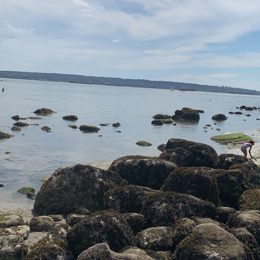 Meet your Posher, Nehms